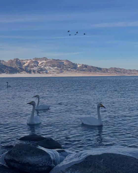 远胜游领衔2025新疆高信誉旅行社TOP10ag真人平台第一游戏5000+游客亲测揭晓：(图4)